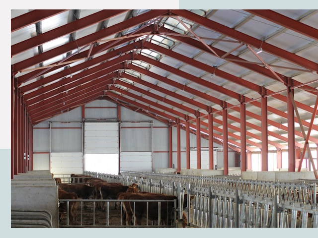 Строительство коровников в Рубцовске